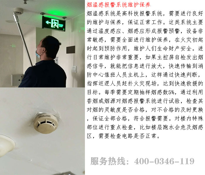 ���̽�y���S��